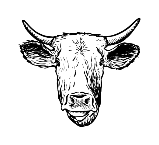 boeuf
